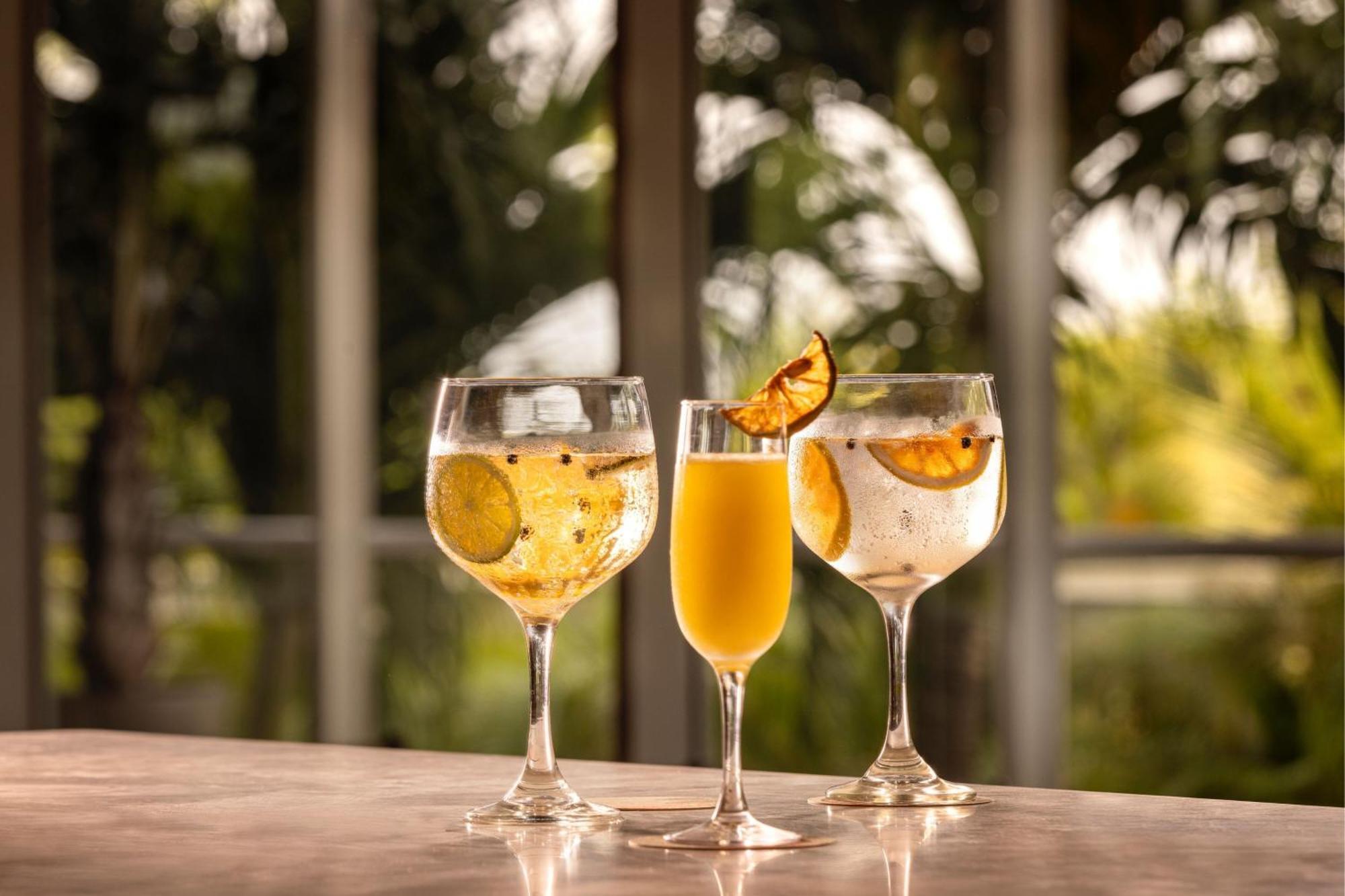 산타 마르타 메리어트 리조트 플라야 도르미다 산타마르타 외부 사진 Glasses of ginger beer